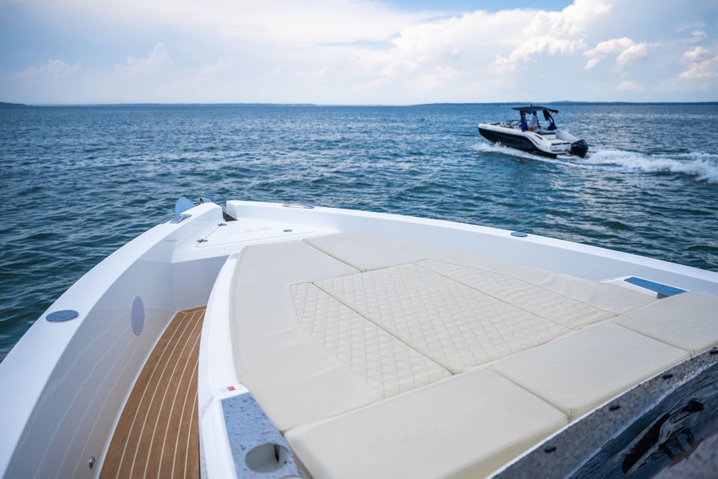 De-Antonio-Chase-Guttman-66