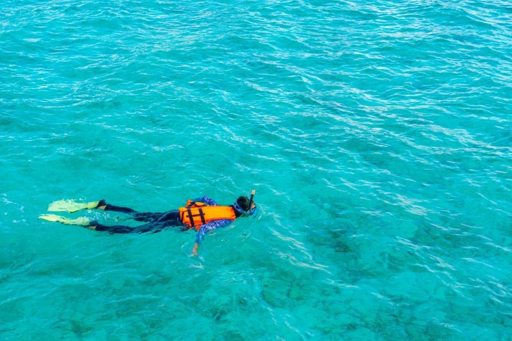  Snorkeler in orange vest explores clear waters&nbsp;&nbsp;