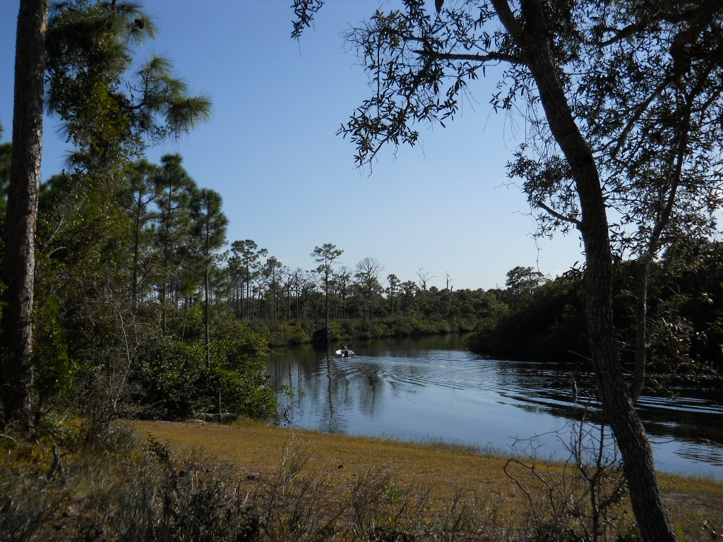 Boat gliding on Loxahatchee River surrounded by dense vegetation.