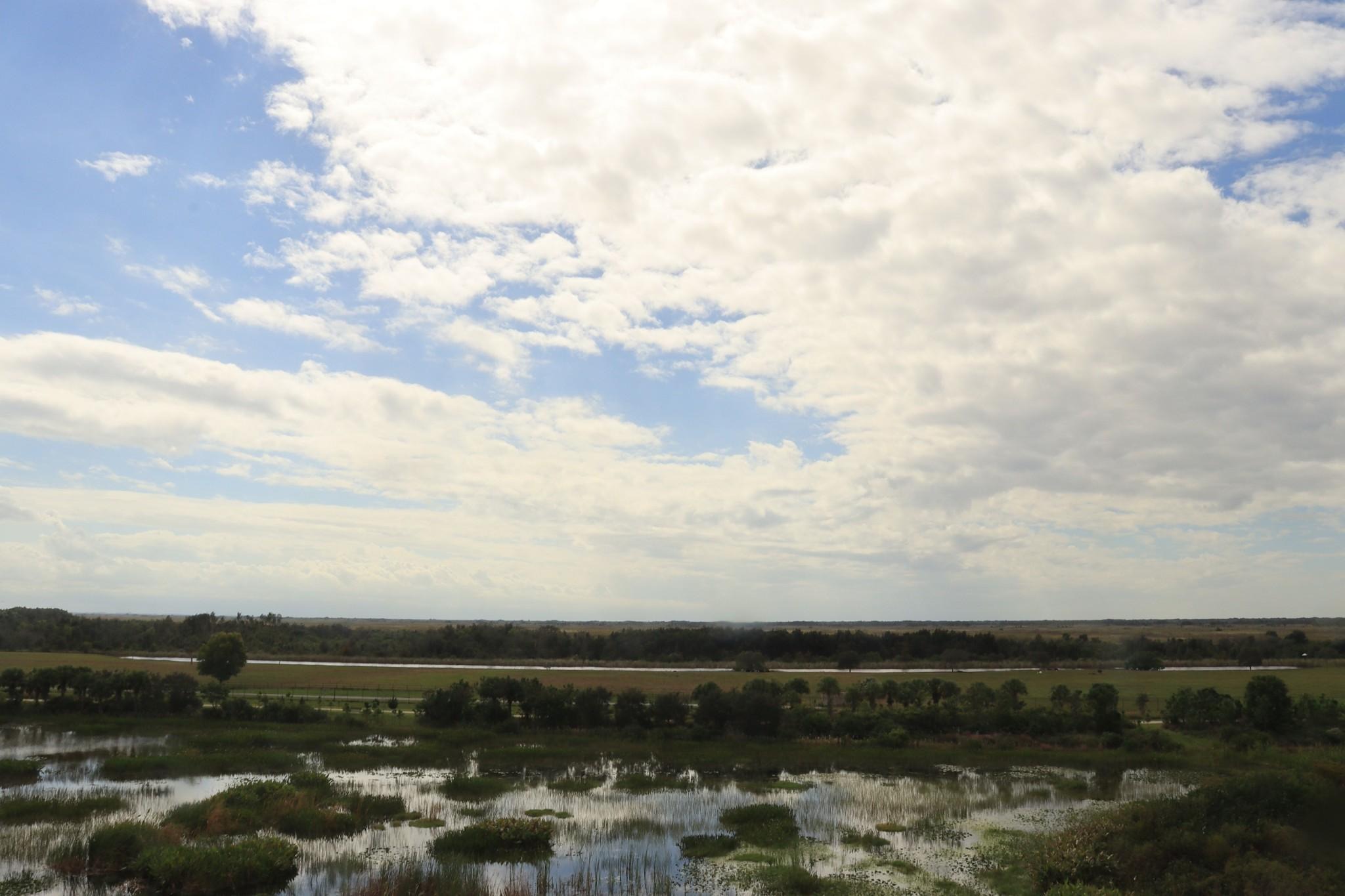 Wellington Environmental Preserve wetlands beneath expansive cloud-filled Florida sky