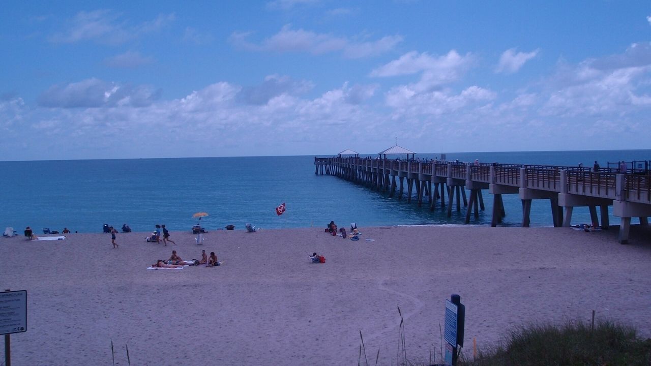 9 Things to Do in Juno Beach, Florida for Nature Lovers