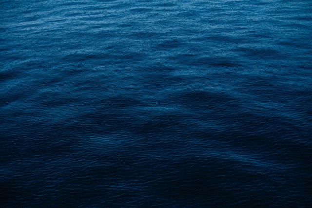 parallax image